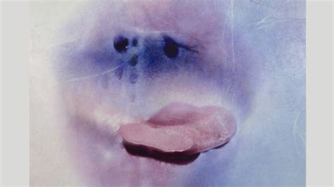 ladies mature|Sex positivity after 70: Marilyn Minter’s sensual photographs of .